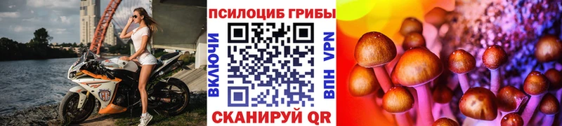 Псилоцибиновые грибы мухоморы  как найти закладки  Полярные Зори 